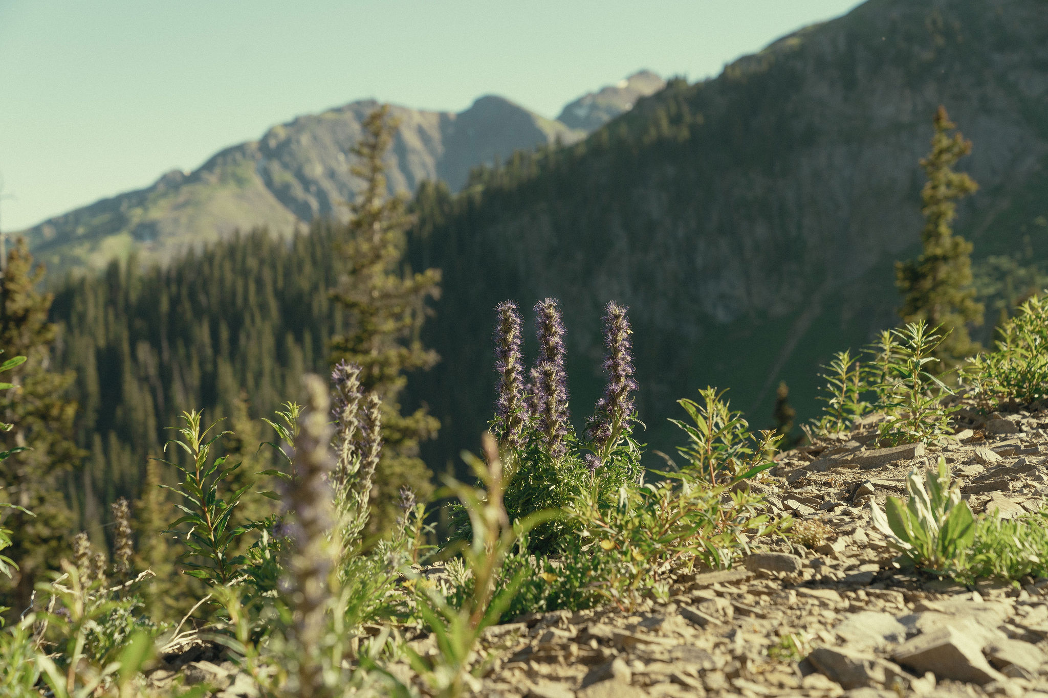 top Colorado engagement photo locations in the San Juans