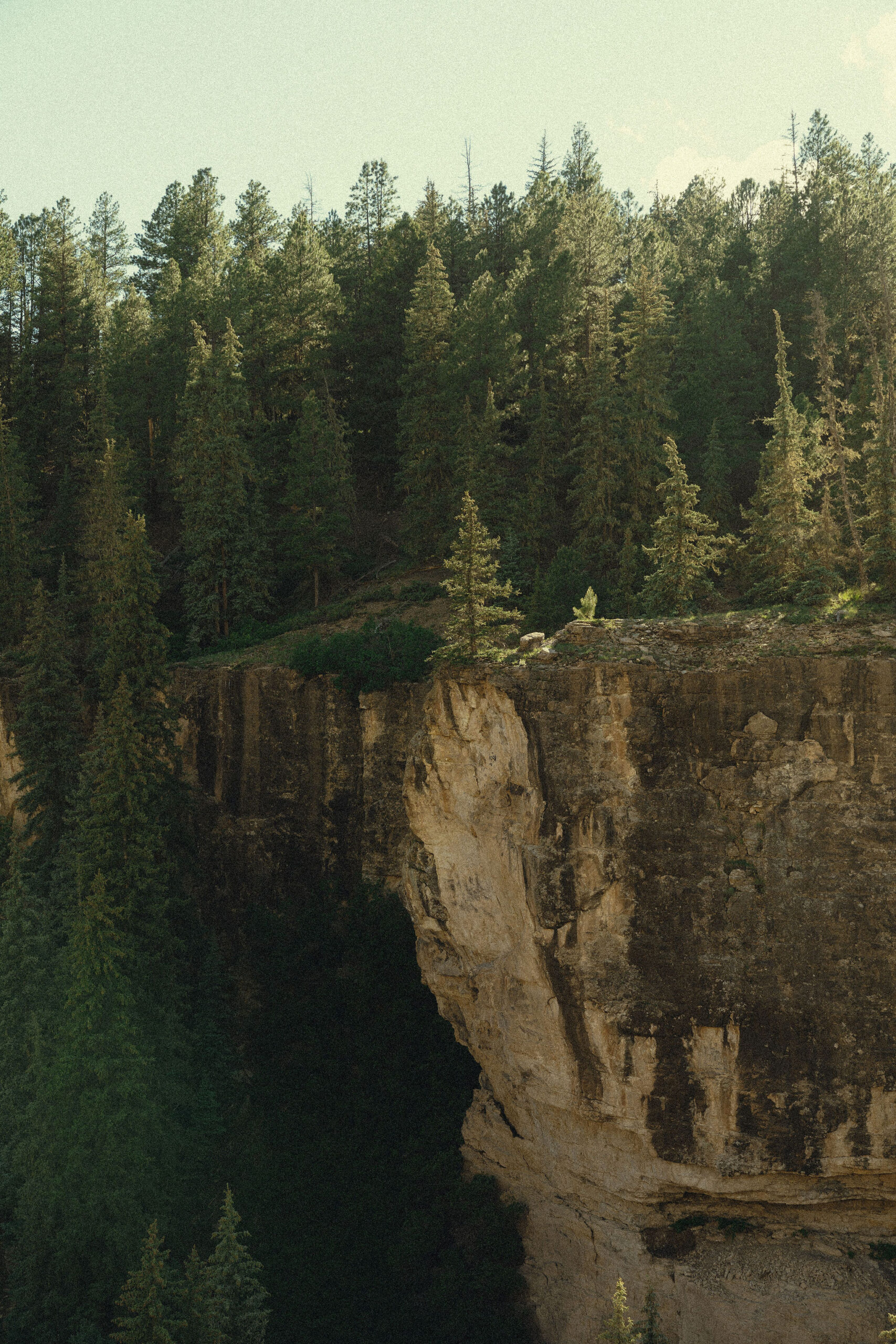 film inspired photography of the san juan mountains in colorado