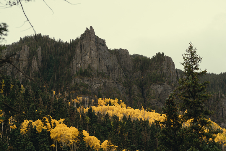 San Juan mountain peeks over the golden trees near Ouray, Colorado